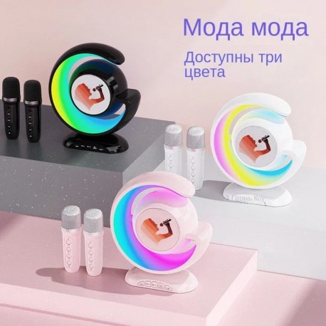 Беспроводная Bluetooth-Колонка для караоке с 2 микрофонами 2000 Вт  оптом-6