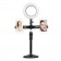Кольцевая лампа для макияжа с 2 держателями для телефона Live Light Holder WS-868  оптом