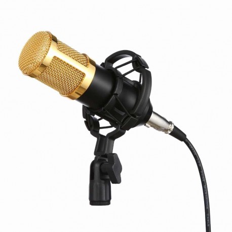 Студийный микрофон Professional Condenser Microphone BM-800  оптом-1