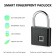 Замок навесной со сканером отпечатков пальцев Fingerprint Padlock  оптом