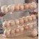 Контейнер для яиц боковой в холодильник ROLLING EGG BOX 3 шт  оптом