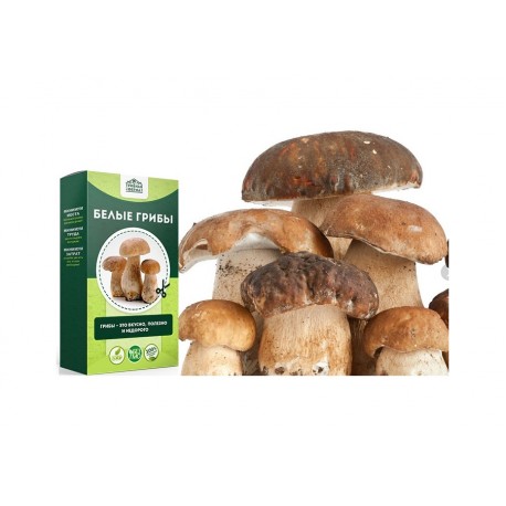 Наборы для выращивания Белых грибов  оптом-1