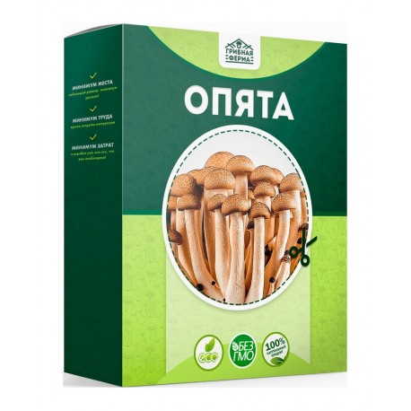 Наборы для выращивания грибов Опята  оптом