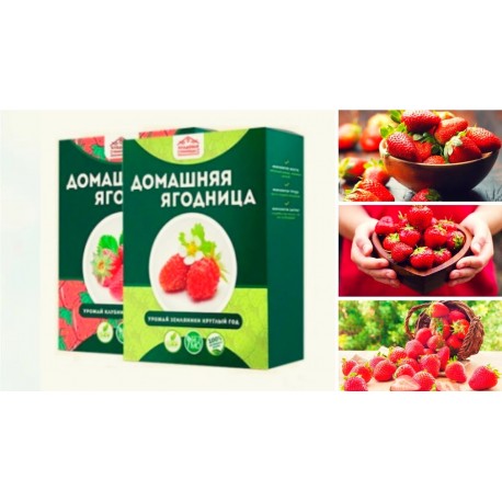 Наборы для выращивания Клубники  оптом-1