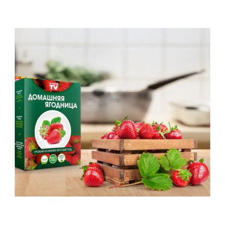 Наборы для выращивания Клубники  оптом-2