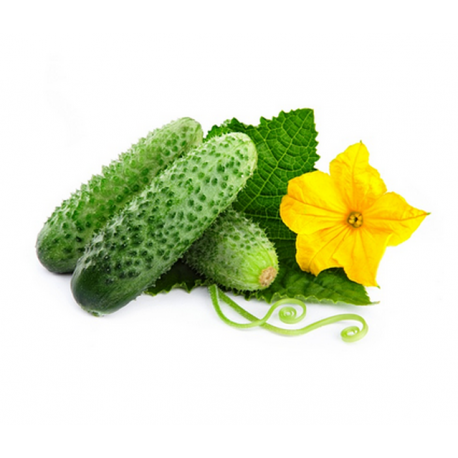 Наборы для выращивания Огурцов  оптом-1