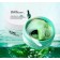 Гидрогелевые патчи VIOMAID ALGAE AMPOULES 60 шт  оптом