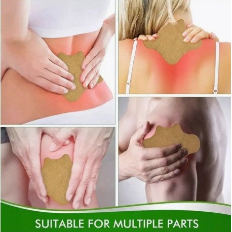 Пластырь травяной натуральный обезболивающий для спины и поясницы HYLLIS 10 шт  оптом-3