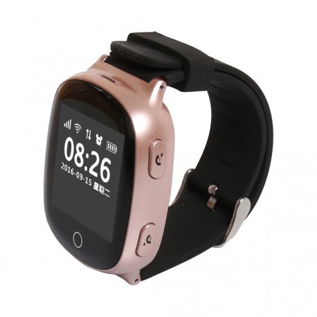 Детские часы с GPS Smart Baby Watch D100  оптом-1