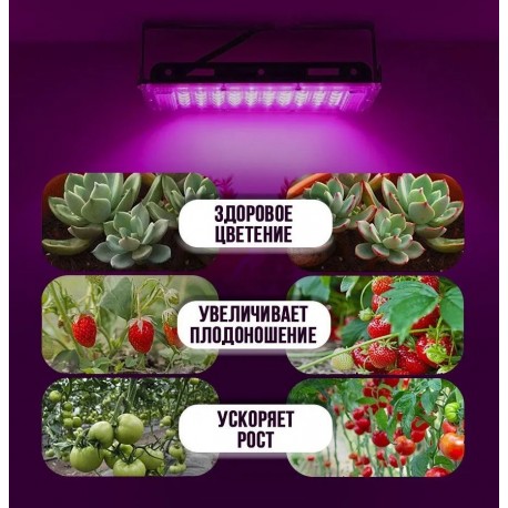Фито лампа LED для растений, рассады и цветов, квадратная-4