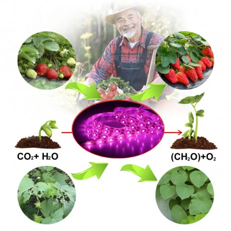 Светодиодная фито лента для выращивания растений 1 м  оптом-2