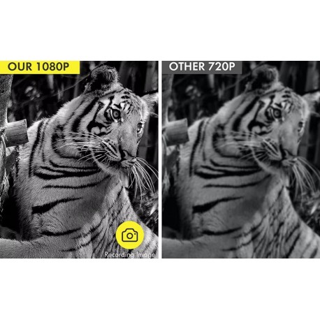 Очки-Монокуляр ночного видения 1080P HD для охоты оптом-10