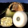 Светодиодная лента MULTI-FUNCTION CAMPING LAMP Xteleo-SMD 4 в 1 для кемпинга желтая оптом