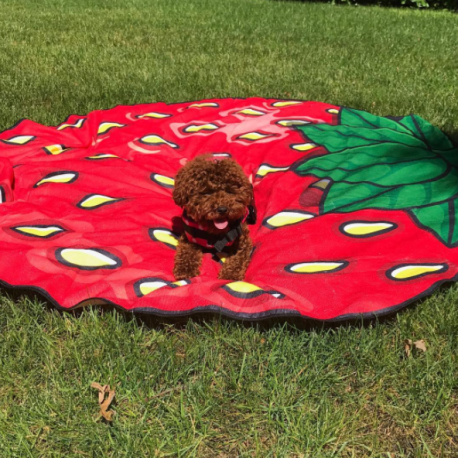 Пляжное покрывало Beach Towel Клубника  оптом-3