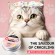 Бальзам Exgyan Pet Rose Oil для лап собак и кошек против трещин и сухости 50 г оптом