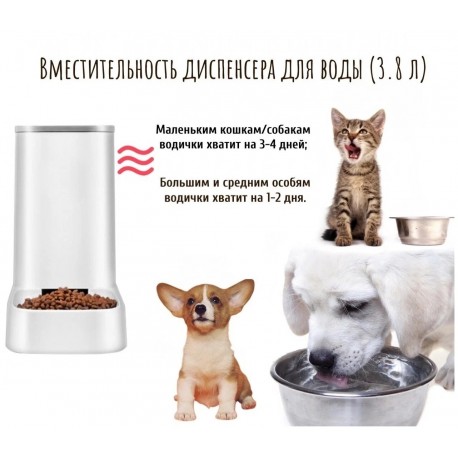 Автокормушка и автопоилка для домашних животных 2 шт  оптом-1