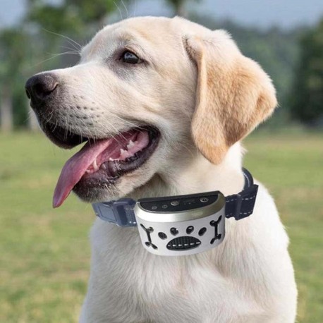 Электронный Ошейник АНТИЛАЙ на аккумуляторе  оптом-6