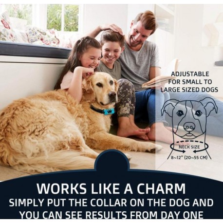 Электронный Ошейник АНТИЛАЙ на аккумуляторе  оптом-9