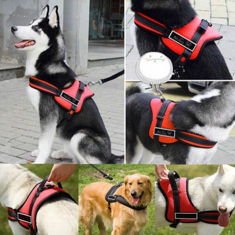 Шлейка для собак прогулочная Sports dog harness set  оптом-3