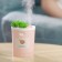 Увлажнитель воздуха Succulents Humidifier  оптом