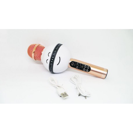 Колонка с функцией Караоке Микрофона Wster WS-878  оптом-2