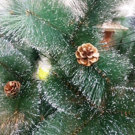 Ель пушистая с шишками Премиум  оптом-2