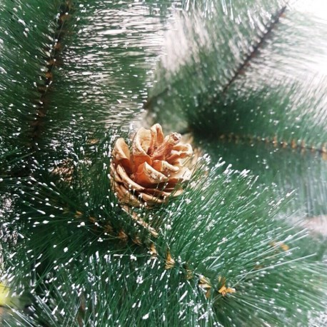 Ель пушистая с шишками Премиум  оптом-3