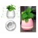 Умный музыкальный горшок Smart Music Flower pots  оптом
