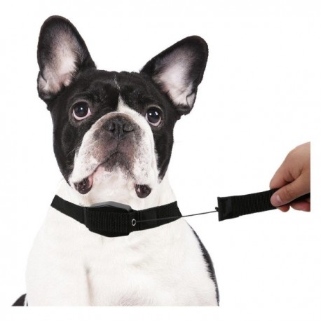 Регулируемый поводок Lucky Leash  оптом