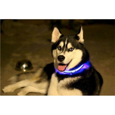 Светящийся ошейник для собак  оптом-2